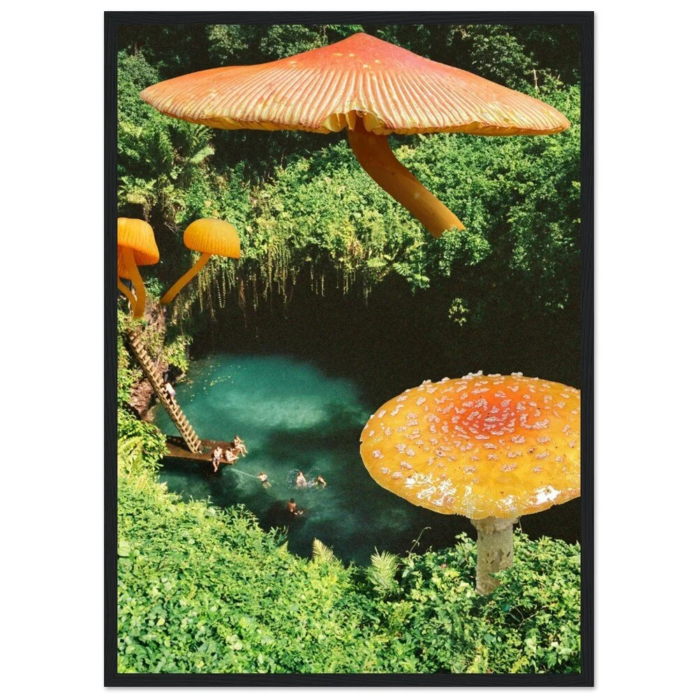 tmp-411-0dy6mERPkiVd