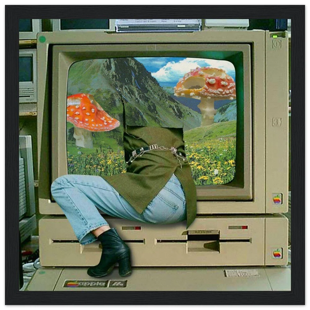 tmp-362-iB5x1BGJhjRq