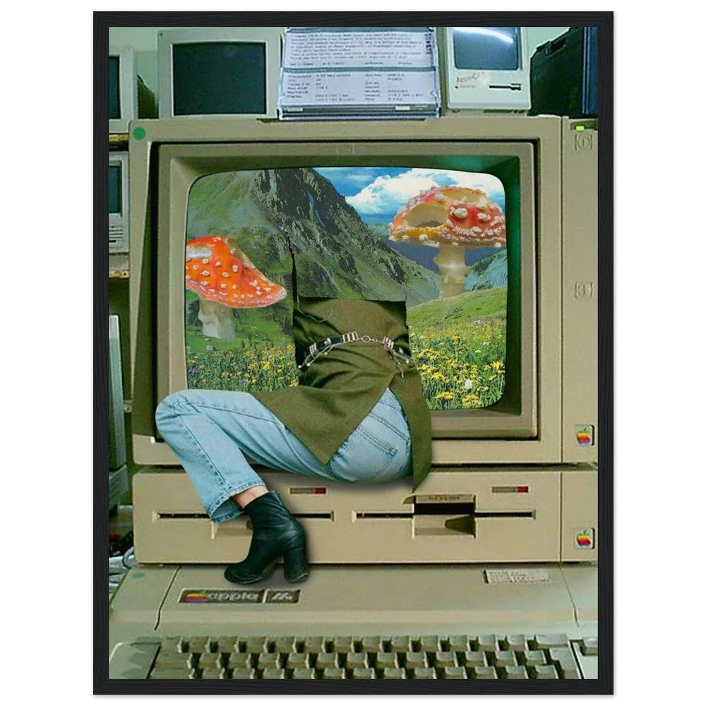 tmp-362-zslnwAwsrfuy