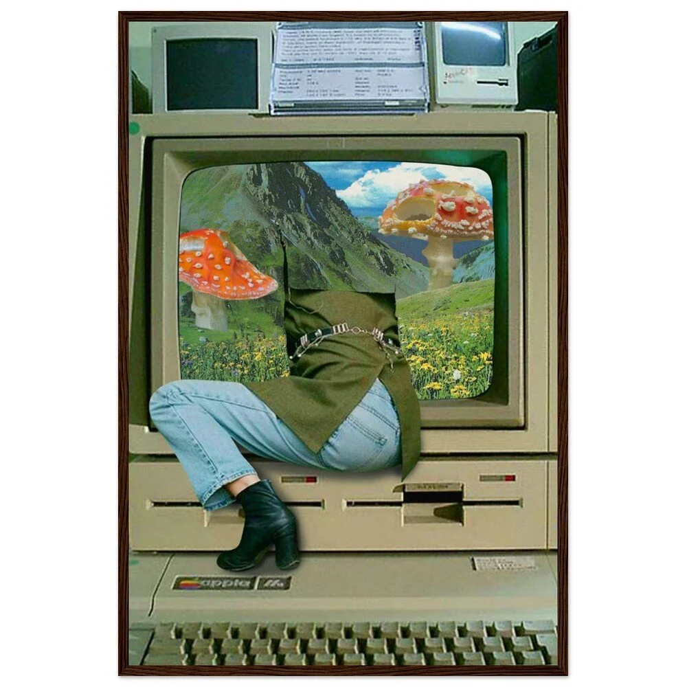 tmp-346-kTMN455MWOku