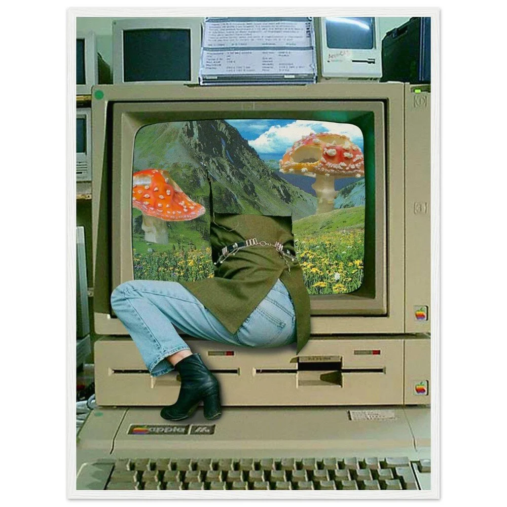 tmp-362-lgv2DP3wMDAv