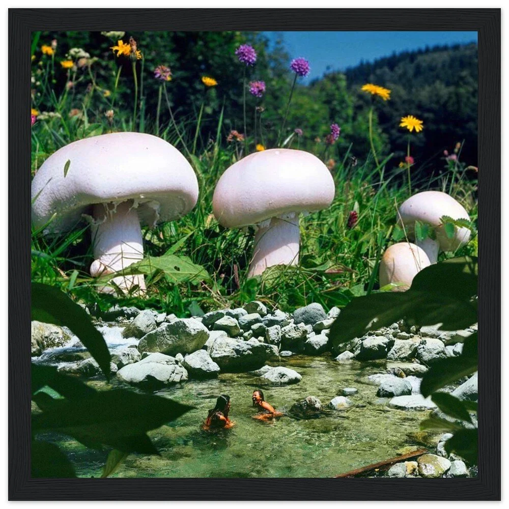 tmp-395-3WdKbiPpmB41