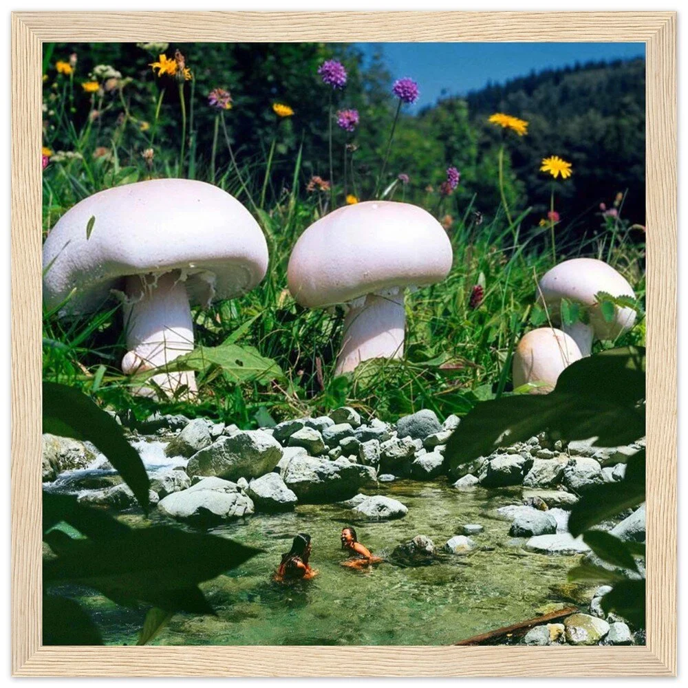 tmp-395-pmukXnP17d49