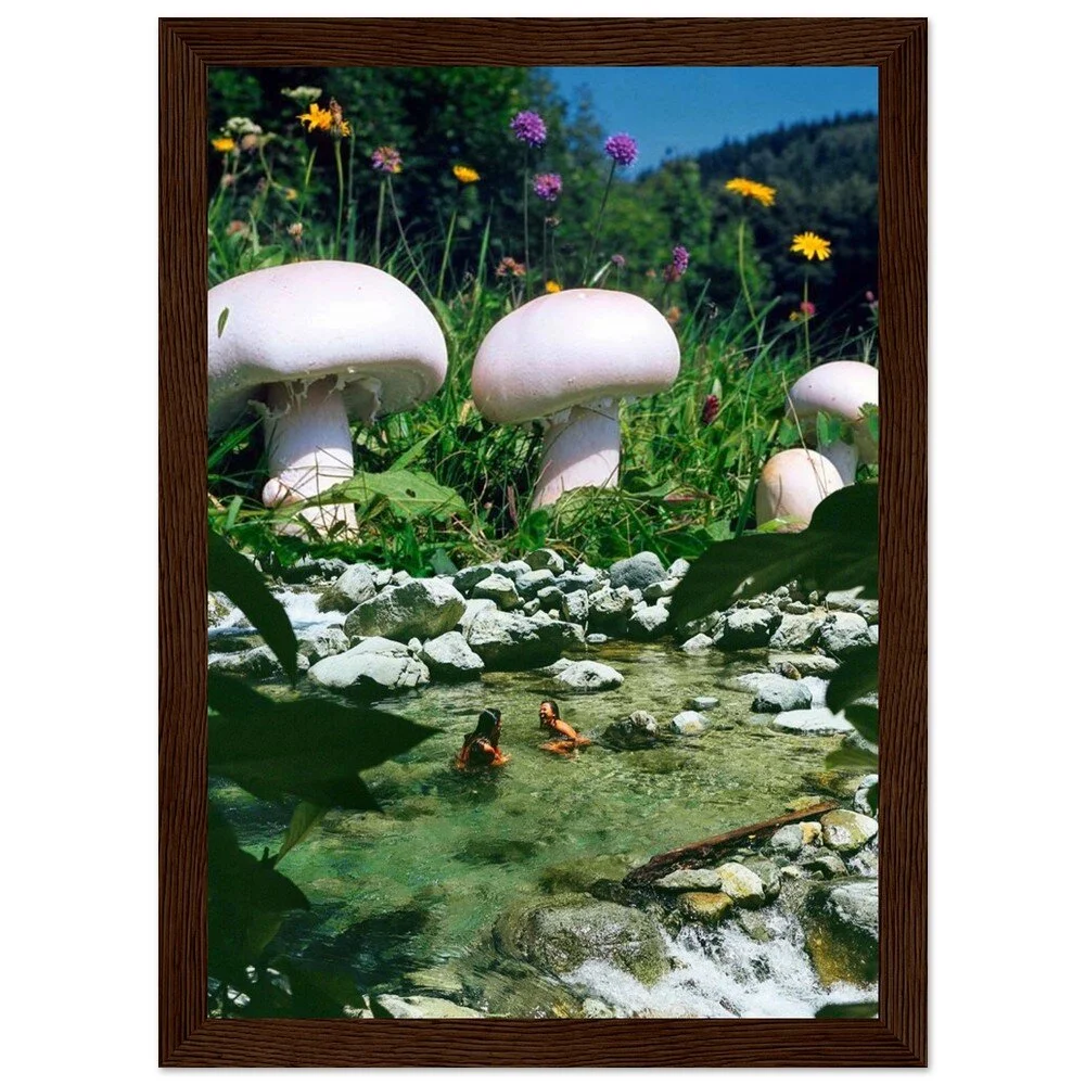 tmp-340-nn6yrcbC48zv