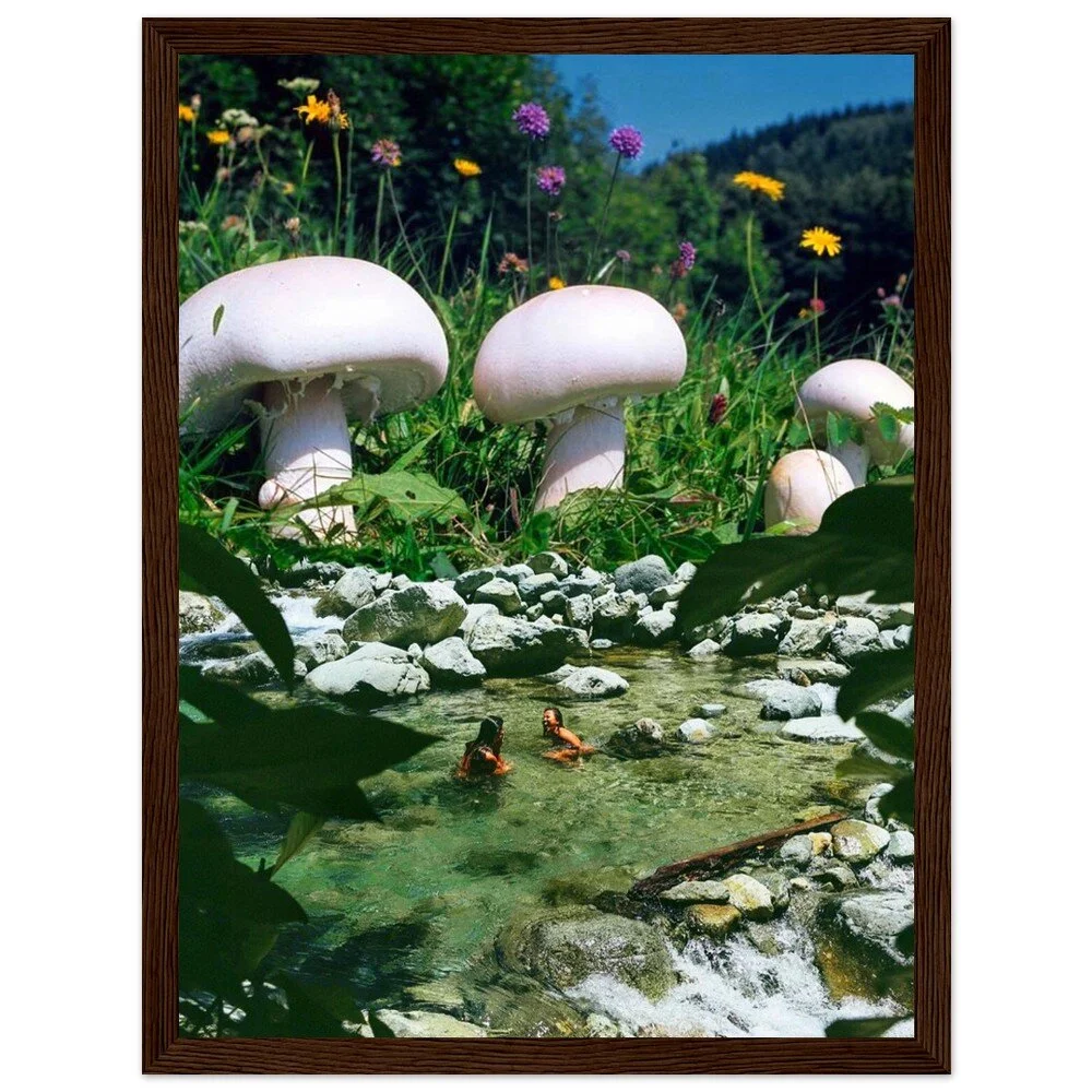 tmp-395-CW6JuEjz7fv1