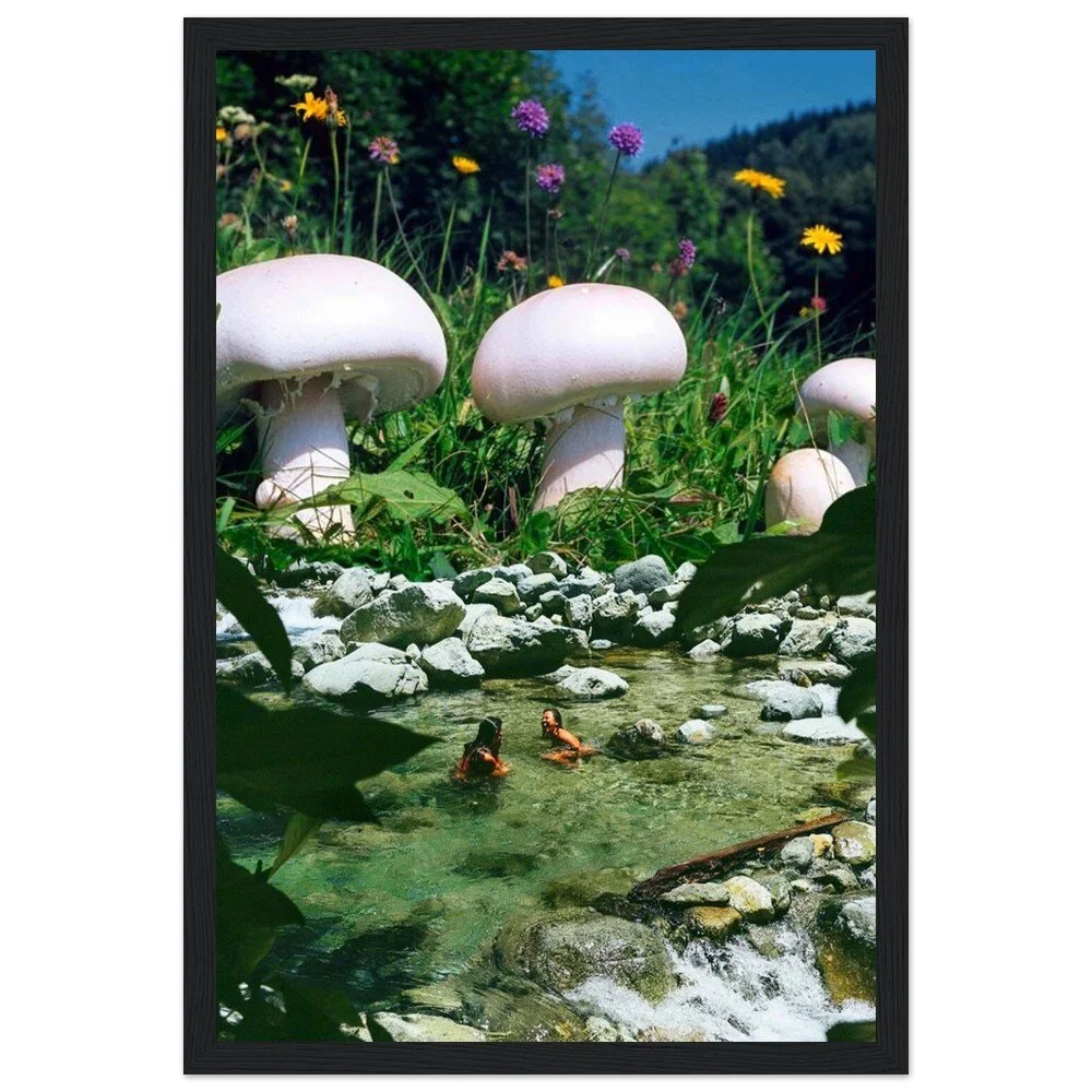 tmp-395-wxECuAU2hZiB