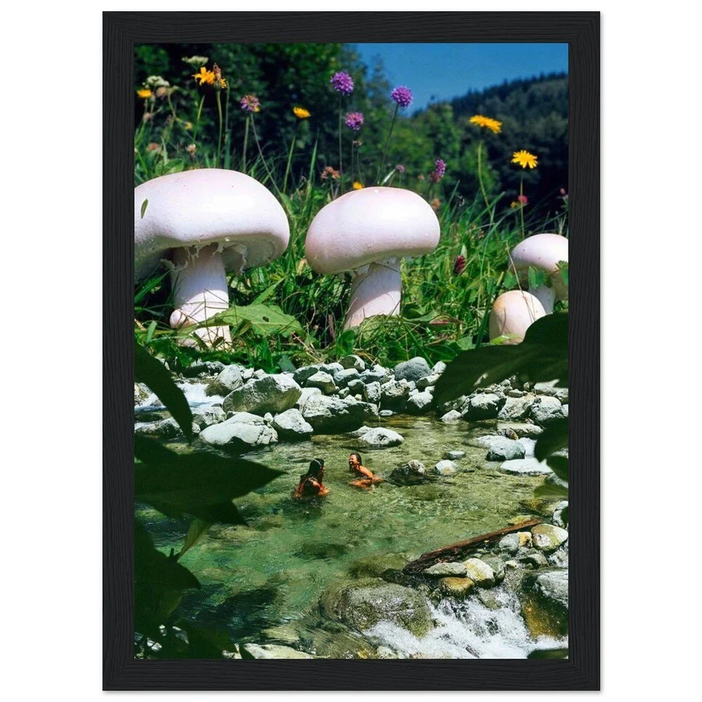 tmp-373-vdN62LK346Qu