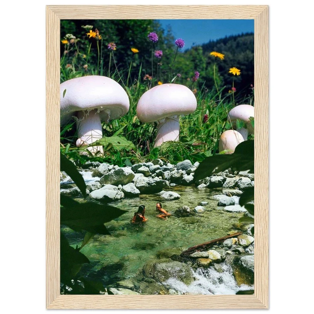 tmp-373-V0A1DbBNWyVD