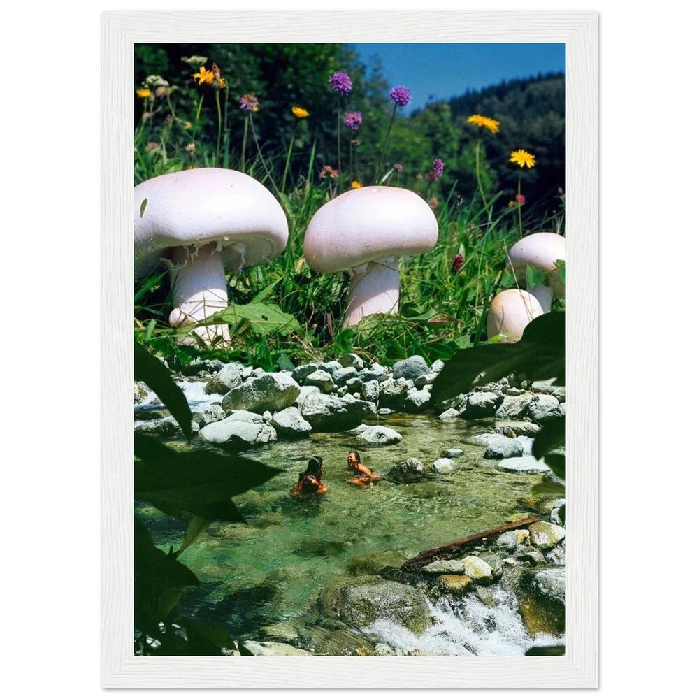 tmp-373-2VAsSvYXTCk8