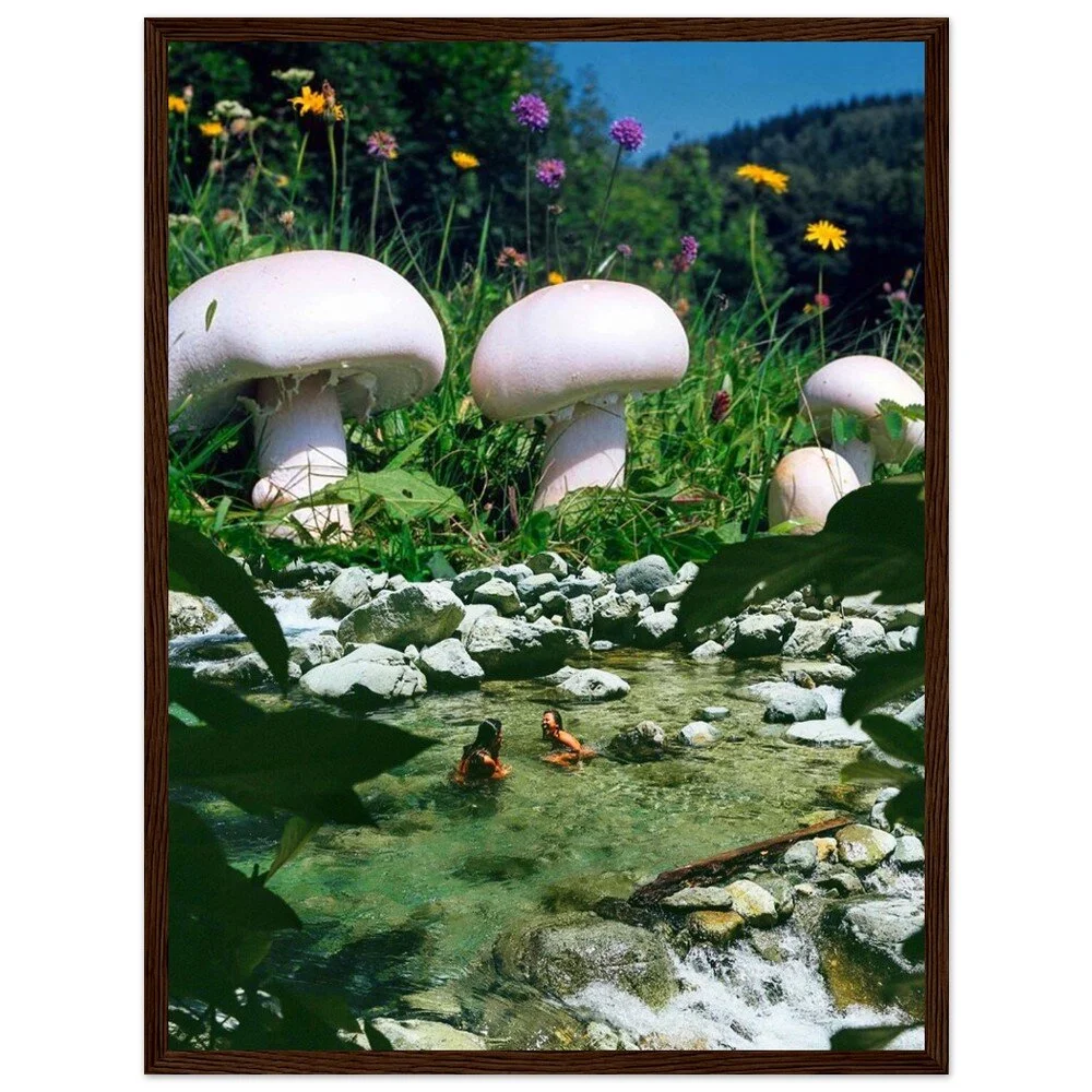 tmp-395-7srGl196ENmL