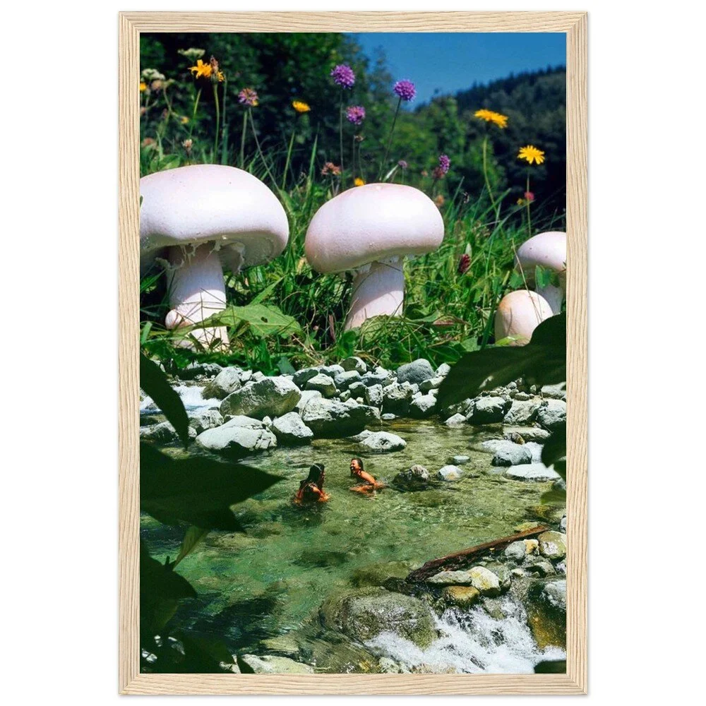 tmp-340-Fnx0mbkG2xxM