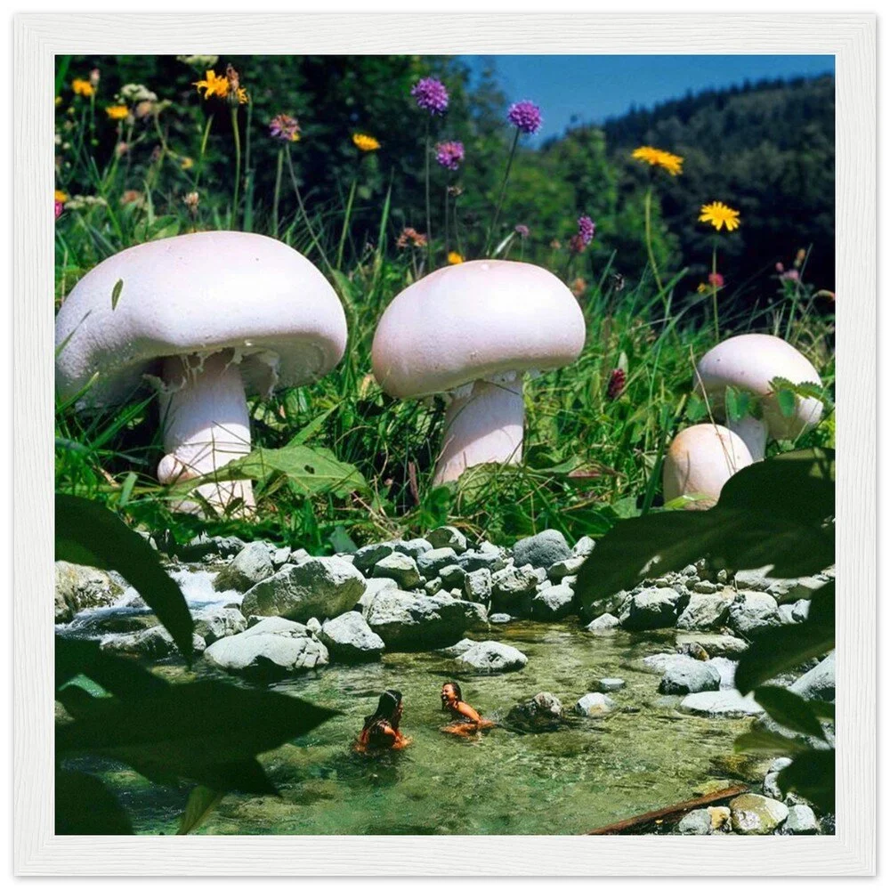 tmp-373-FWyS3xnSRAHo