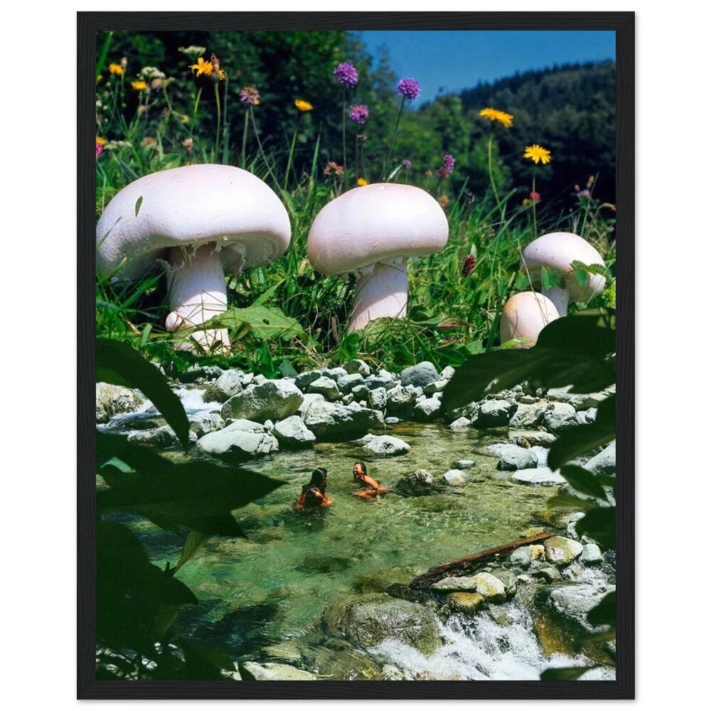 tmp-340-1UHsvUgoHGMI