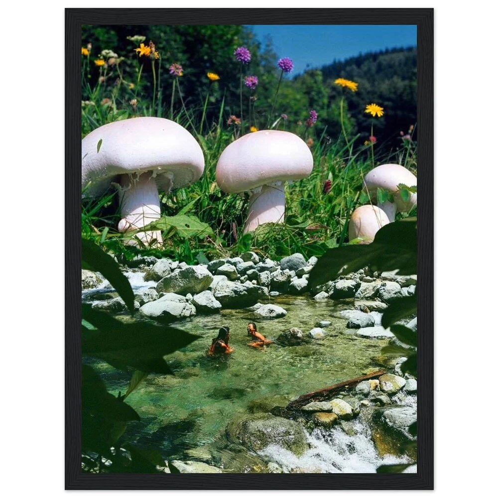 tmp-373-cAgfr4dLjsrK