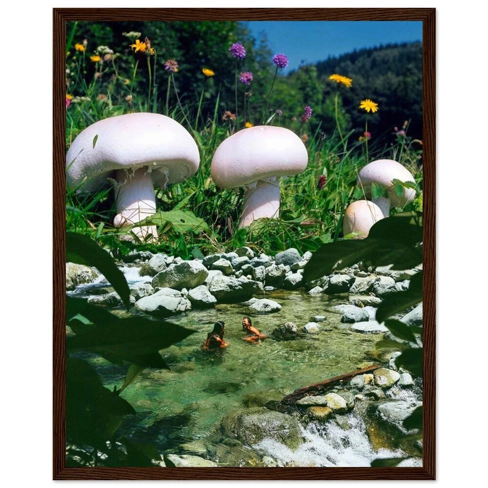 tmp-340-4wcHmKvw66nj