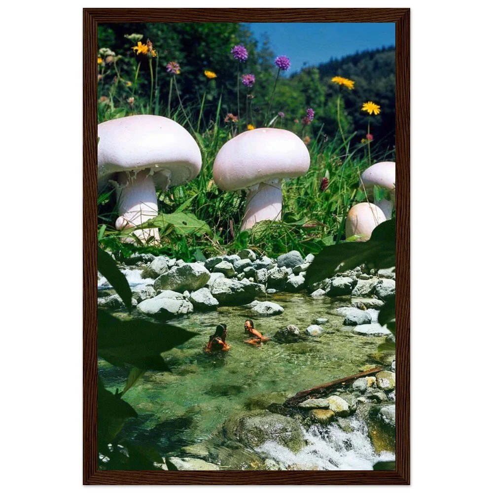 tmp-373-5uoty3zwa0SC