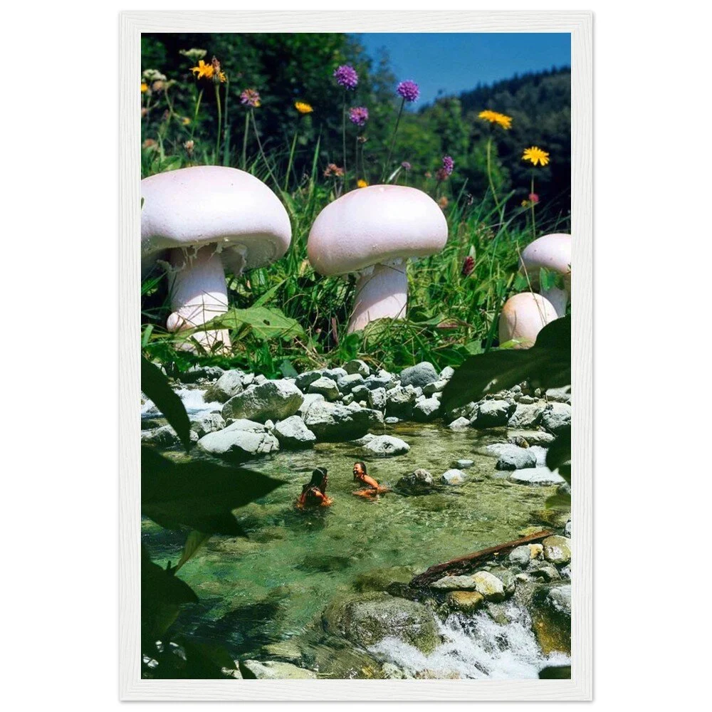 tmp-373-rlN1sCwLeCOV