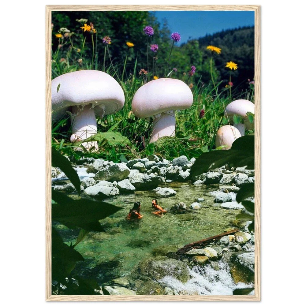 tmp-340-H7py2B4n5UDk