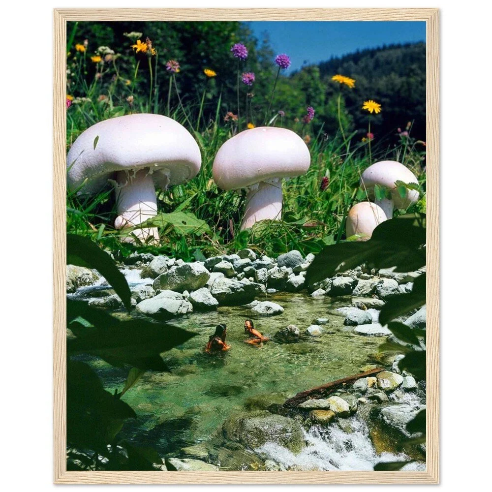 tmp-373-Evbsg2bvzDto