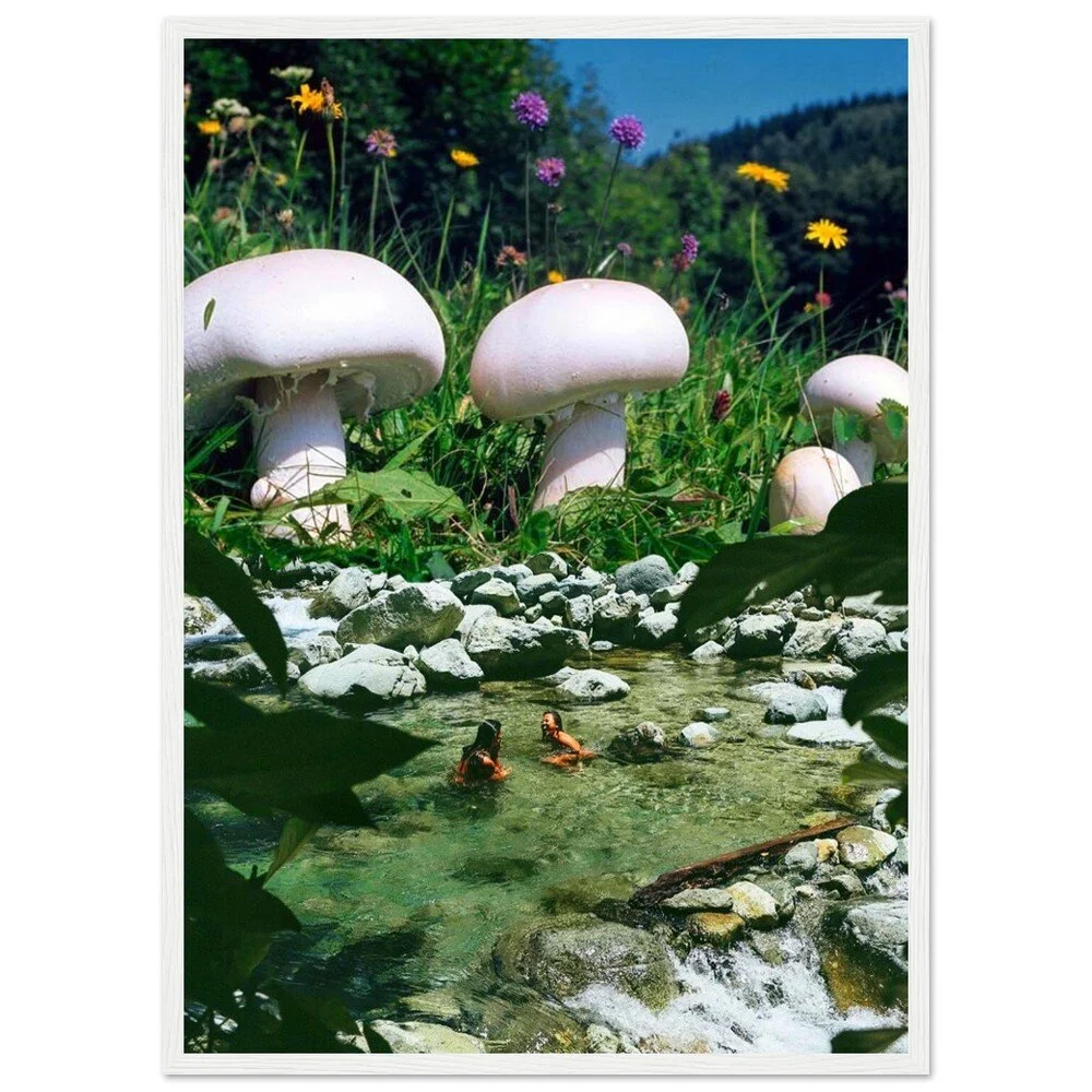 tmp-340-0rpw8uCsZHjt