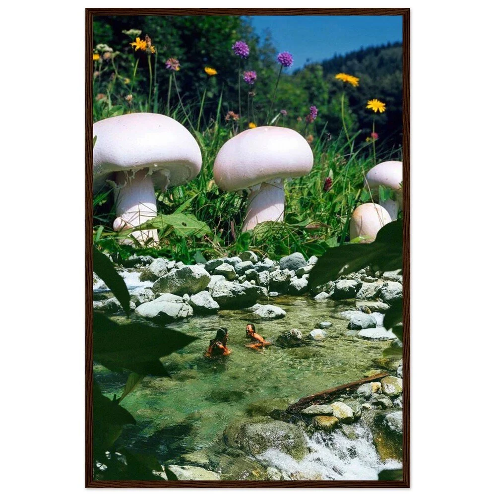 tmp-340-z24EoxzkpRf0