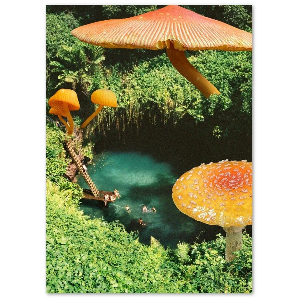 tmp-346-alpdApJCQOwP