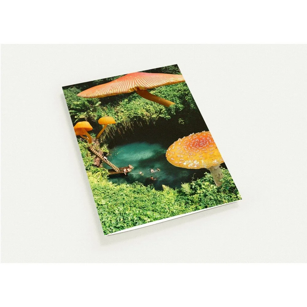 tmp-368-sMbNq6d2vCFI