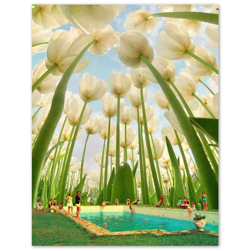 tmp-347-B68df8pM0sUP