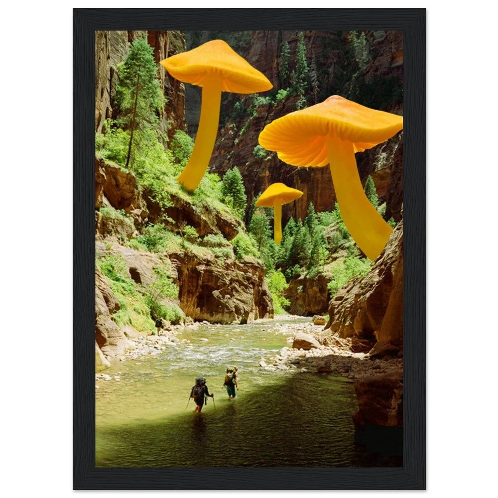 tmp-347-l2z0S2Ol4cxo