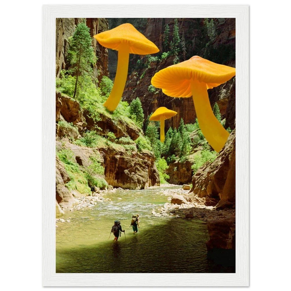 tmp-347-eR8h5dWijnIQ