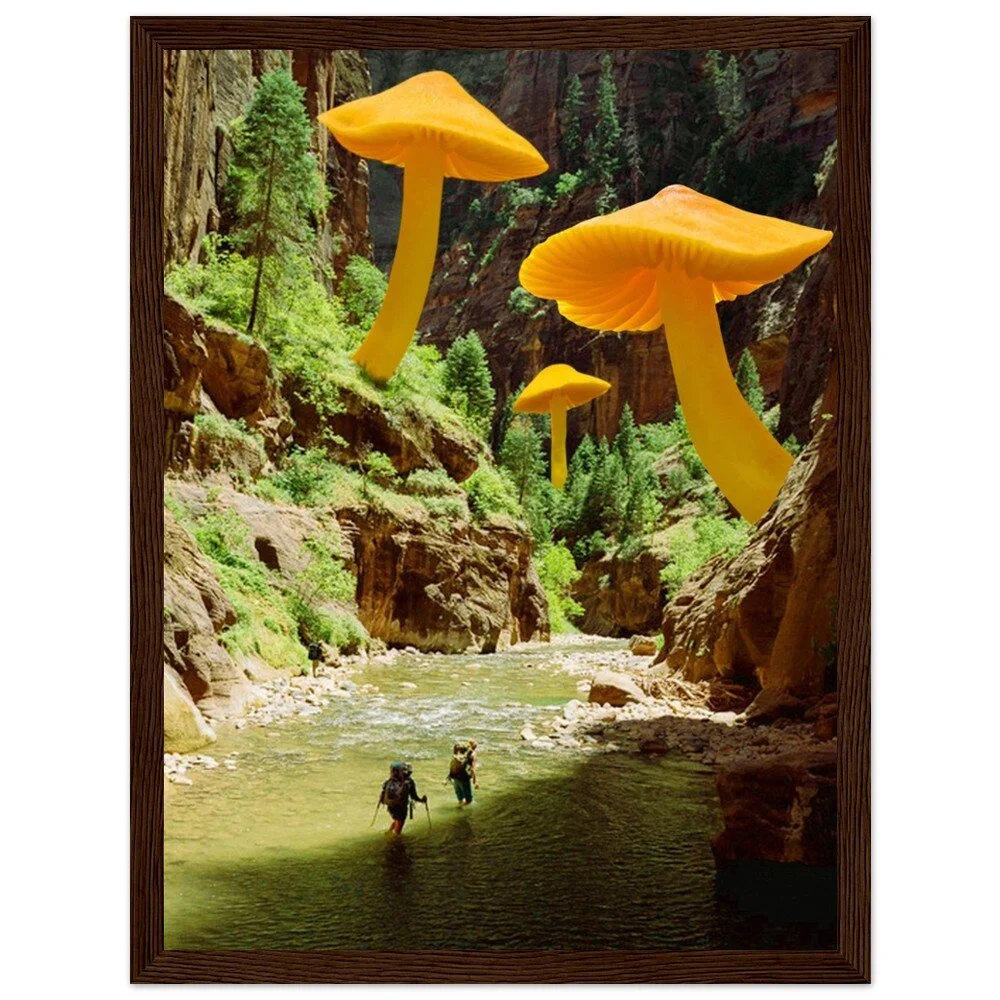 tmp-347-QYlXvk8FAQsK