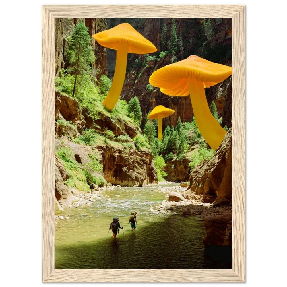 tmp-379-4x7qGMHkKsLq