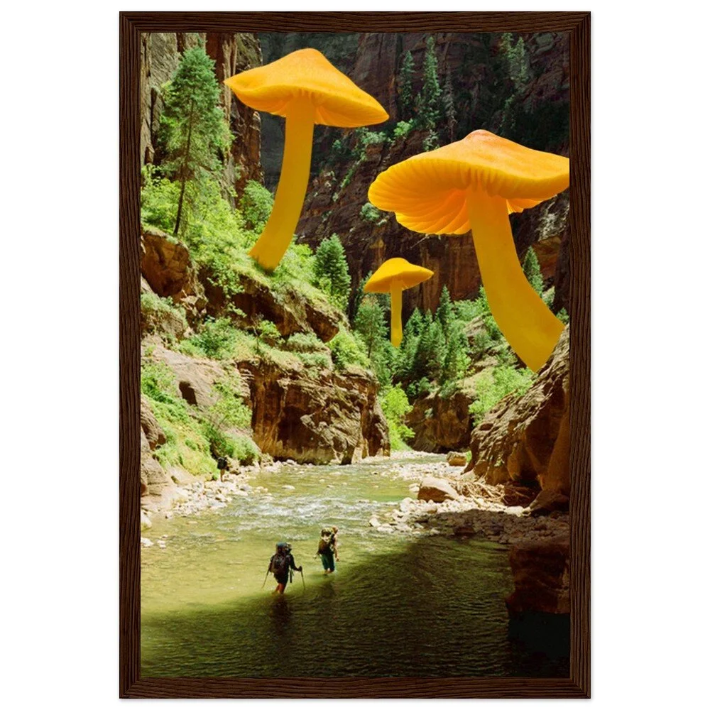 tmp-347-EYGmmdeD1iHw