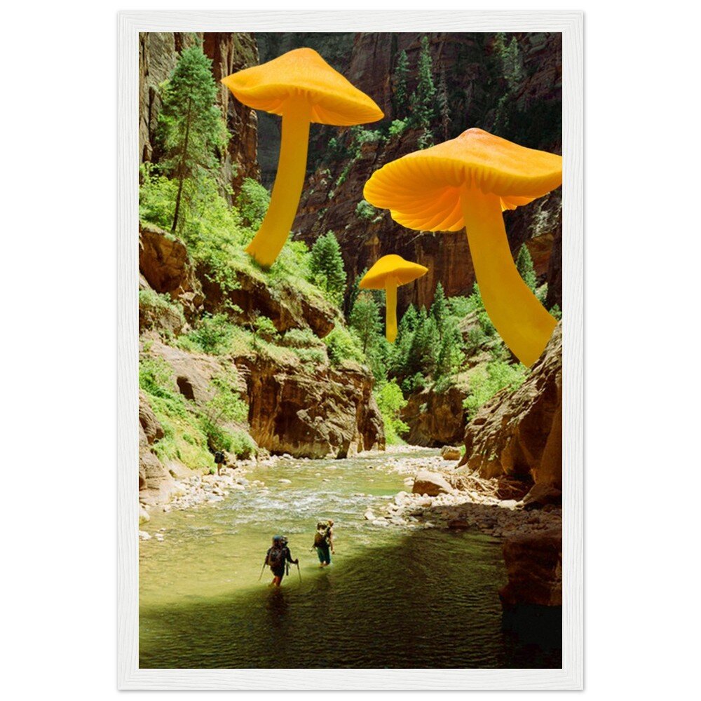 tmp-347-po52ZcCexF5A