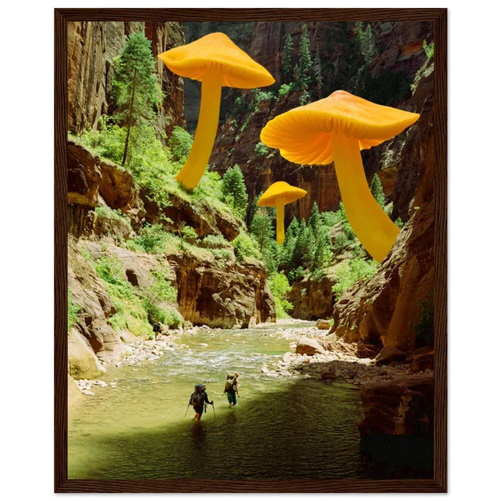 tmp-347-cAirOBP2zFN9