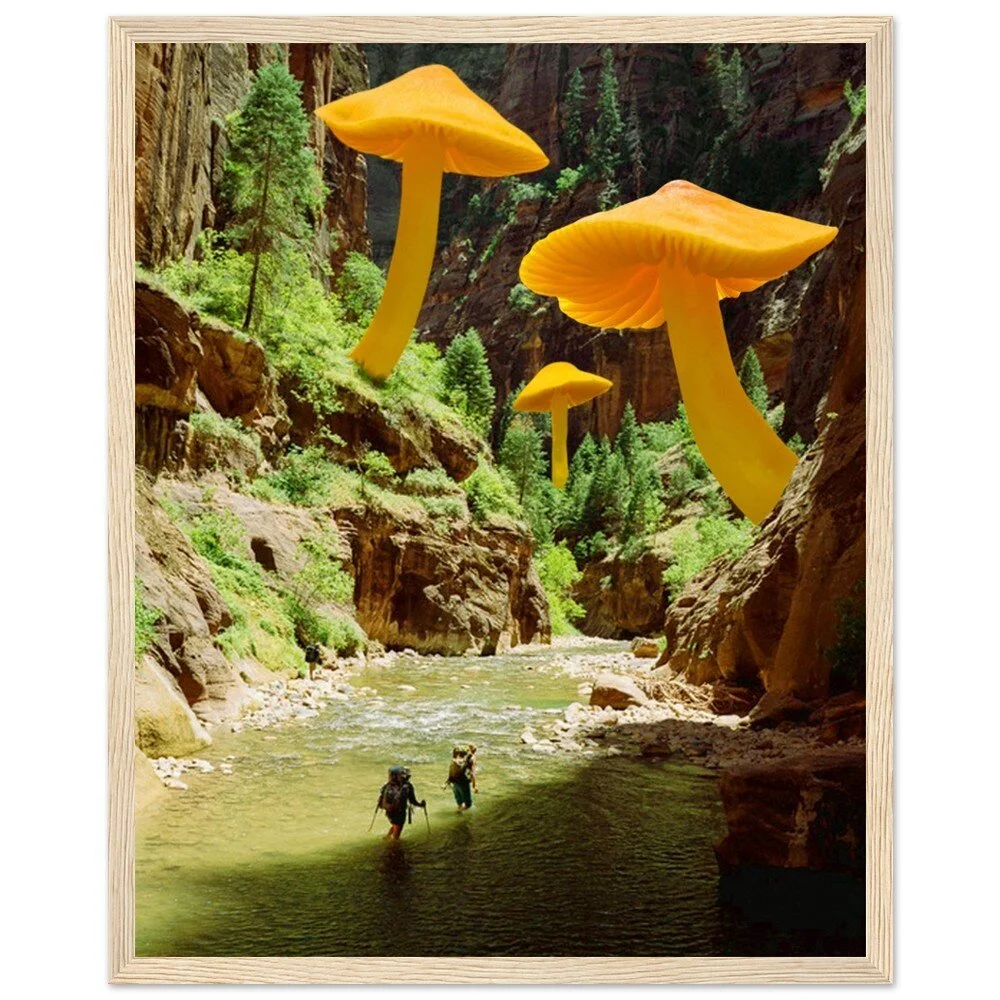 tmp-345-UkpsU42vr0g3