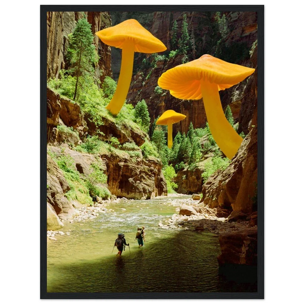 tmp-347-JuSDLGPlMy7J