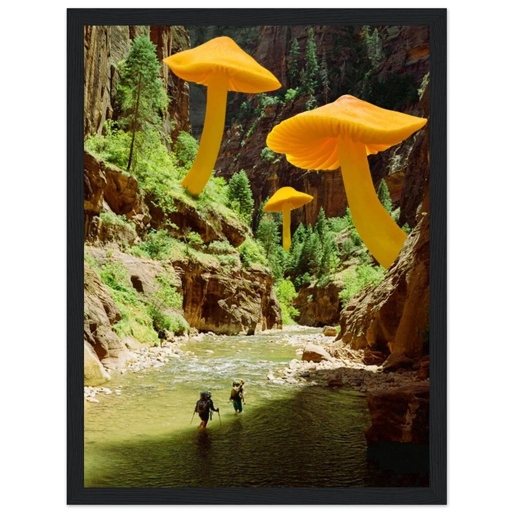 tmp-345-iwIwtpVOa0Wu