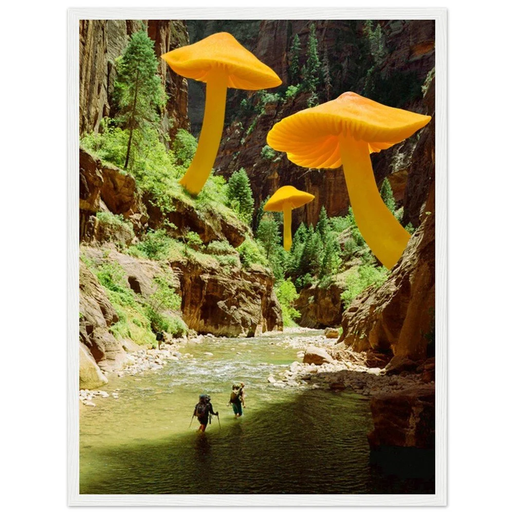 tmp-347-dLD9gD5ftjbS