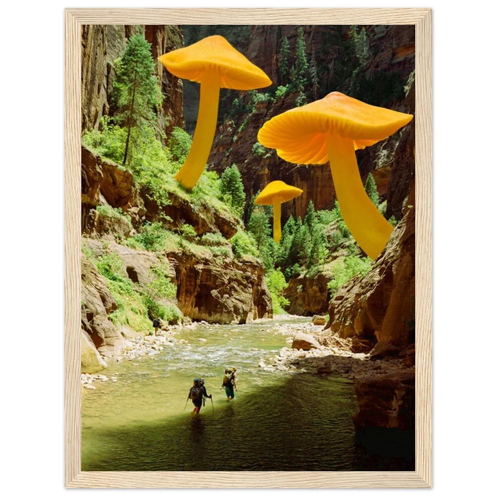 tmp-345-MdqpAlmMAnF8