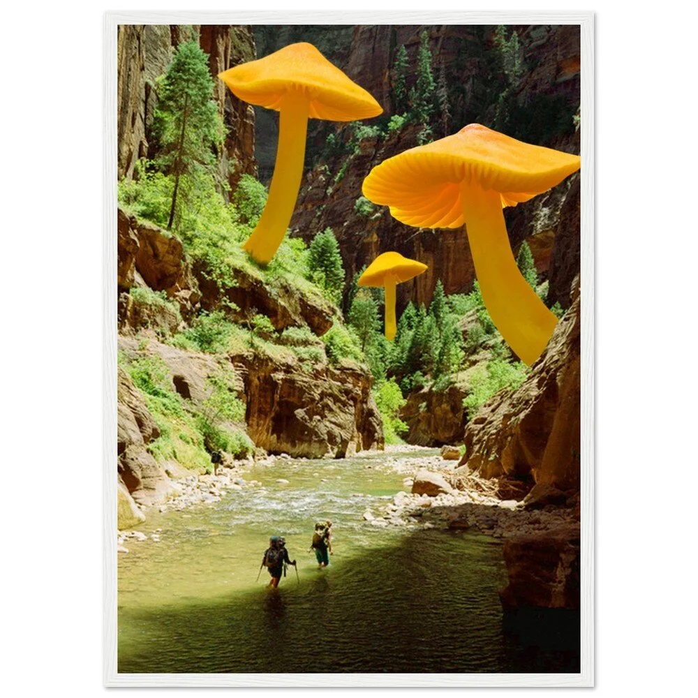 tmp-347-kTbv0e2E2xdL