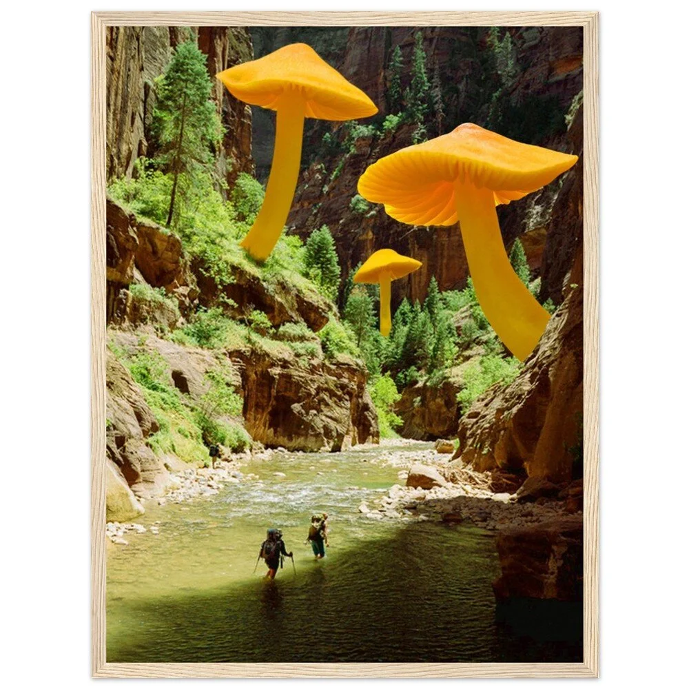 tmp-379-KQuM2iREQvFD