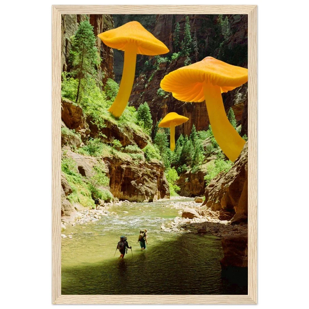 tmp-345-jzJf5dVBmjCU