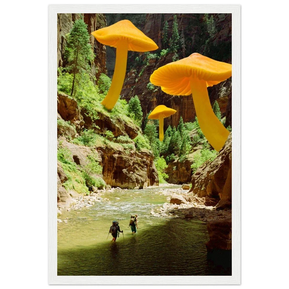 tmp-345-HMvN5tnkdebM