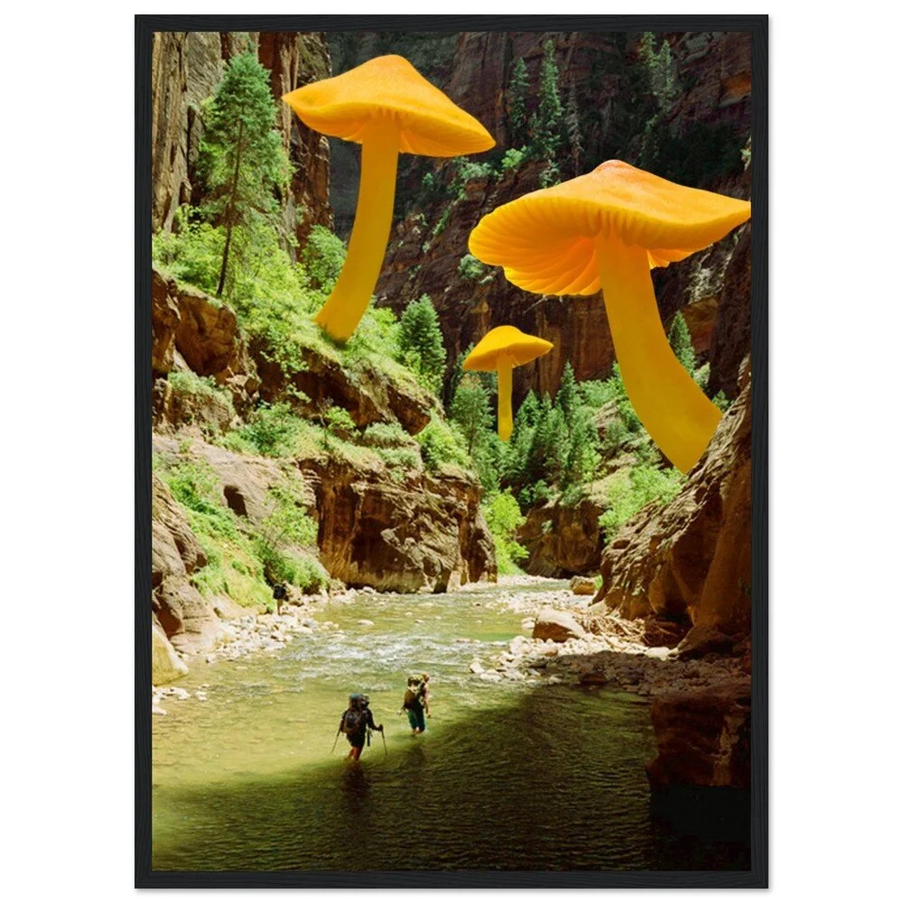 tmp-379-pq64BQoxPW7Z