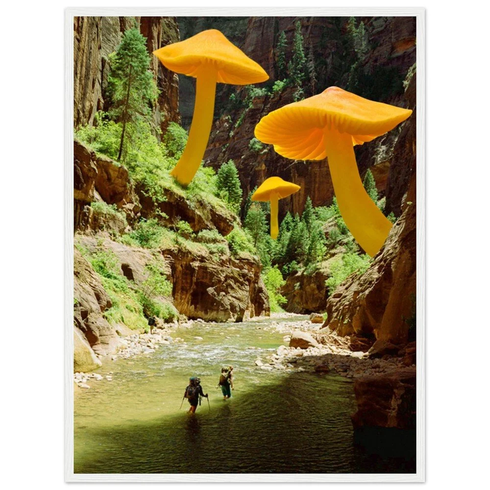 tmp-347-Lox2GkAO03n7