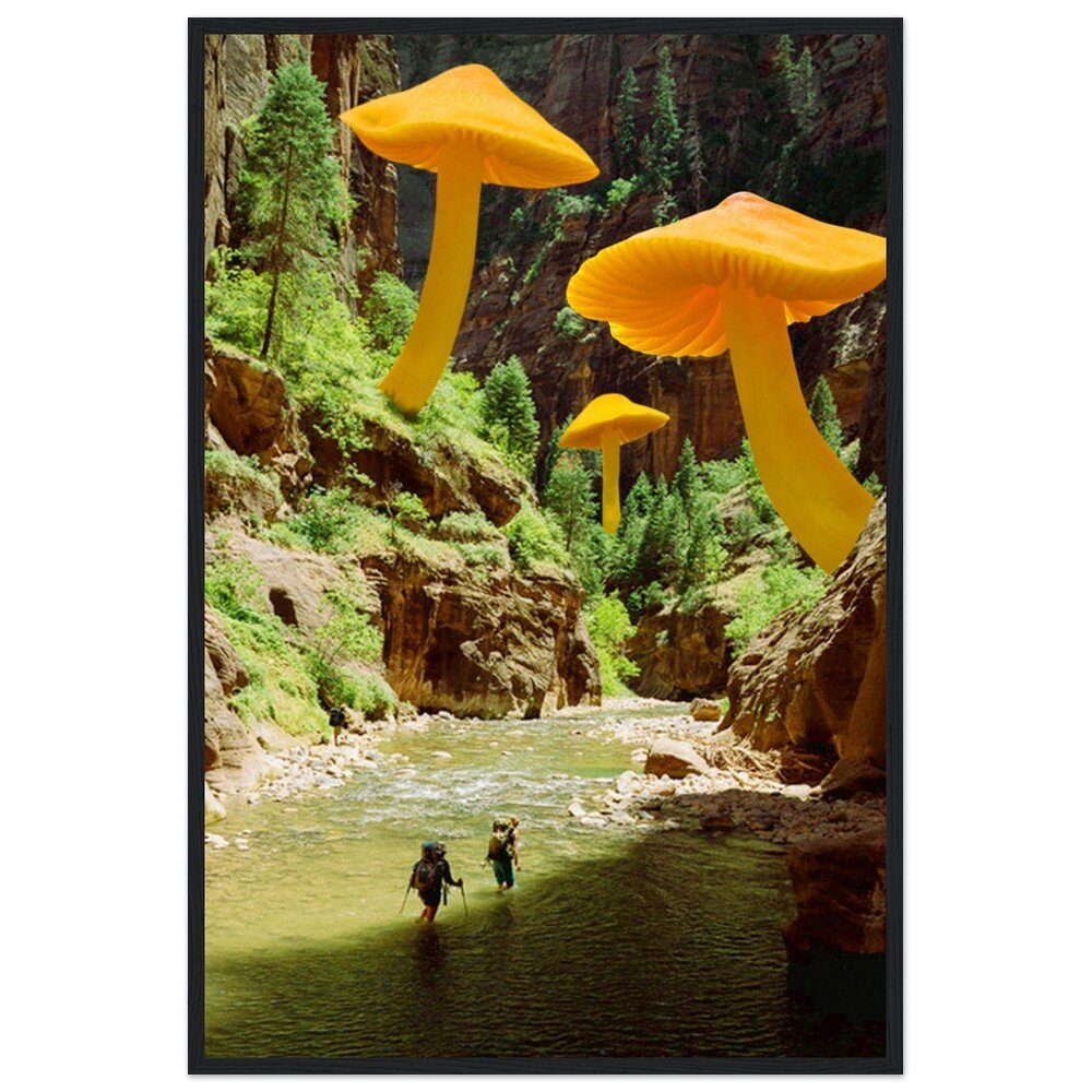 tmp-347-rYLQVs8N4I1s