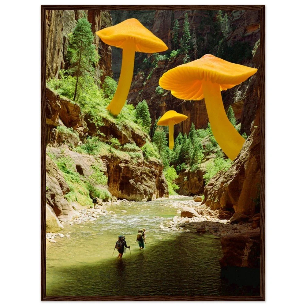 tmp-379-TRznkSL0NMZv