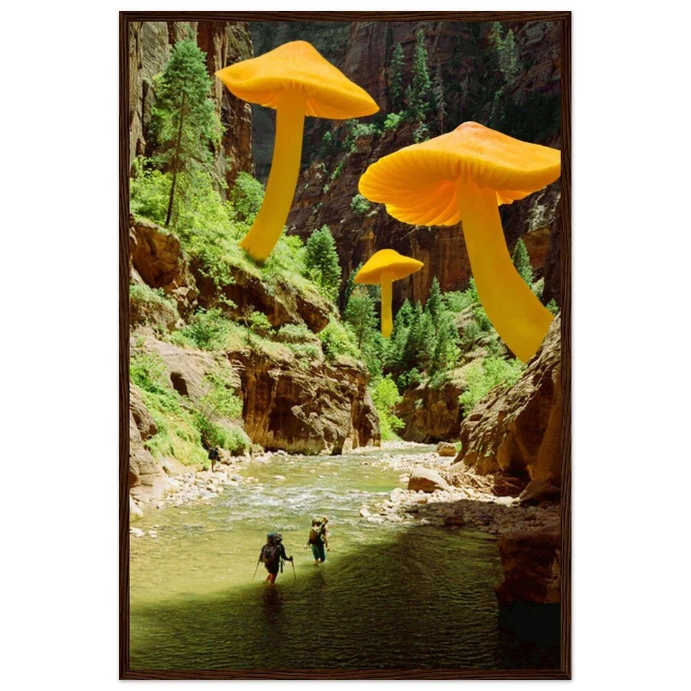 tmp-379-MsGuxvAMsdlG