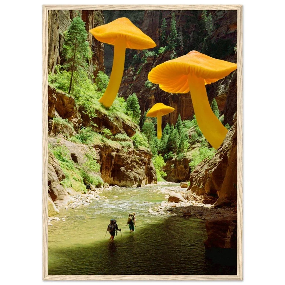 tmp-345-j09Pl7v88Jax